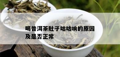 喝普洱茶肚子咕咕响的原因及是否正常