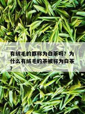 有绒毛的都称为白茶吗？为什么有绒毛的茶被称为白茶？