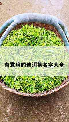 有意境的普洱茶名字大全