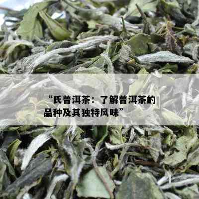 “氏普洱茶：了解普洱茶的品种及其独特风味”