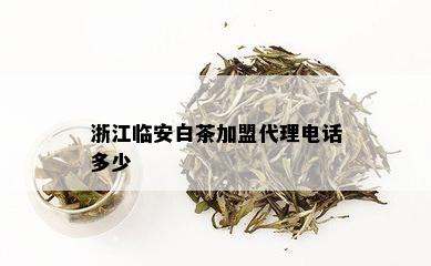 浙江临安白茶加盟代理电话多少