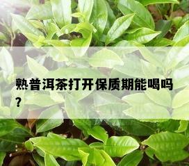 熟普洱茶打开保质期能喝吗？