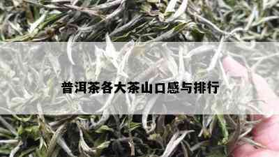 普洱茶各大茶山口感与排行