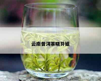 云南普洱茶晓芬姐