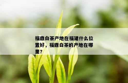 福鼎白茶产地在福建什么位置好，福鼎白茶的产地在哪里?