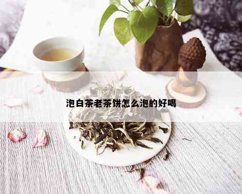 泡白茶老茶饼怎么泡的好喝