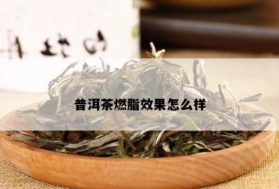 普洱茶燃脂效果怎么样