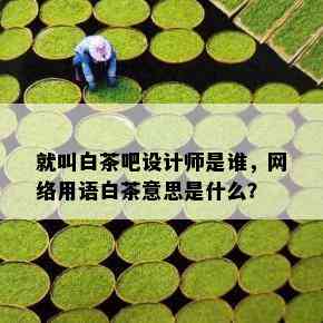 就叫白茶吧设计师是谁，网络用语白茶意思是什么？