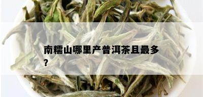 南糯山哪里产普洱茶且最多？