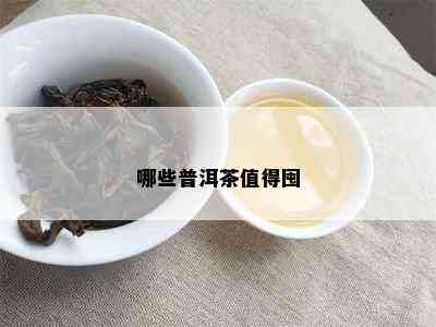 哪些普洱茶值得囤