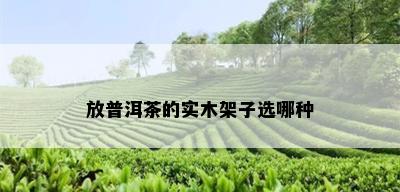 放普洱茶的实木架子选哪种