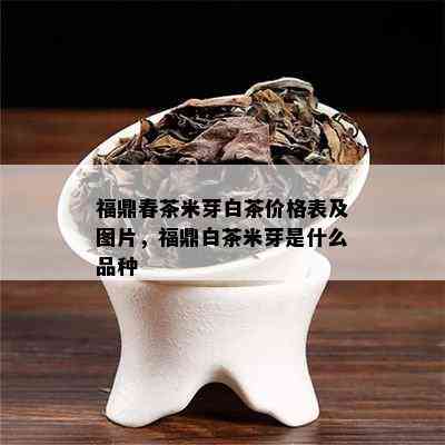 福鼎春茶米芽白茶价格表及图片，福鼎白茶米芽是什么品种