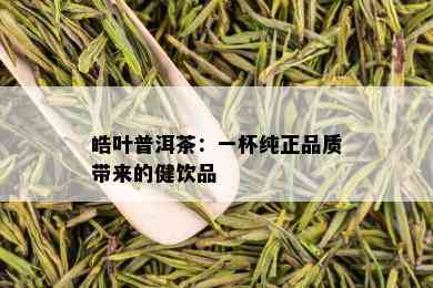 皓叶普洱茶：一杯纯正品质带来的健饮品