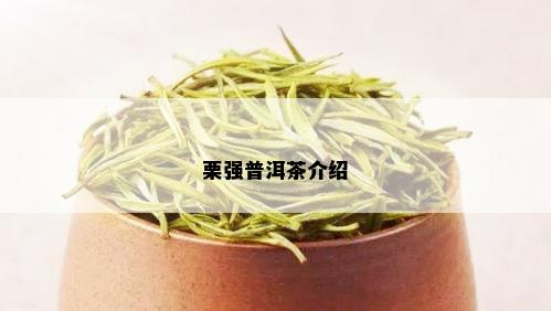 栗强普洱茶介绍