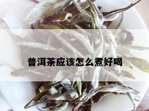 普洱茶应该怎么煮好喝