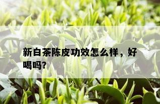 新白茶陈皮功效怎么样，好喝吗？