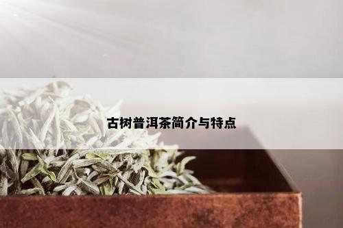 古树普洱茶简介与特点