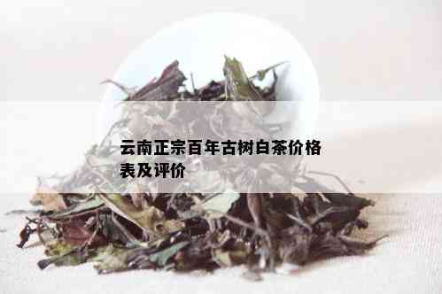 云南正宗百年古树白茶价格表及评价