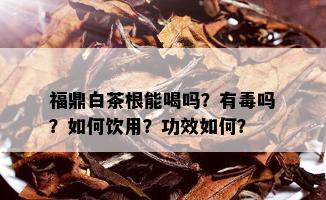 福鼎白茶根能喝吗？有吗？如何饮用？功效如何？