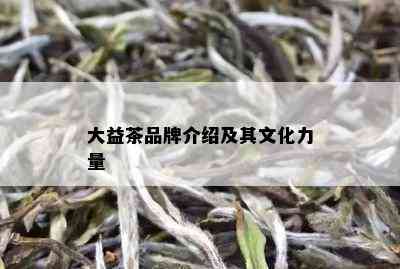 大益茶品牌介绍及其文化力量