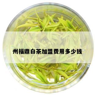 州福鼎白茶加盟费用多少钱