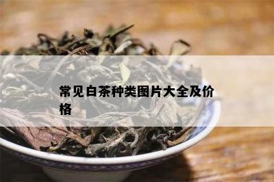 常见白茶种类图片大全及价格