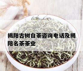 揭阳古树白茶咨询电话及揭阳名茶茶业