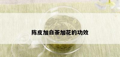 陈皮加白茶加花的功效