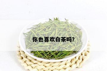 你也喜欢白茶吗？