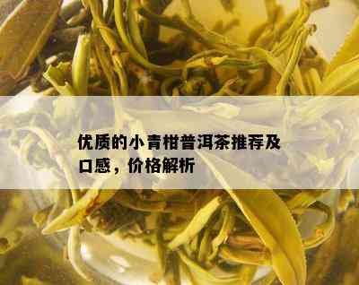 优质的小青柑普洱茶推荐及口感，价格解析