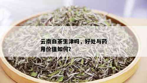 云南白茶生津吗，好处与用价值如何？