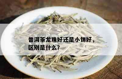 普洱茶龙珠好还是小饼好，区别是什么？