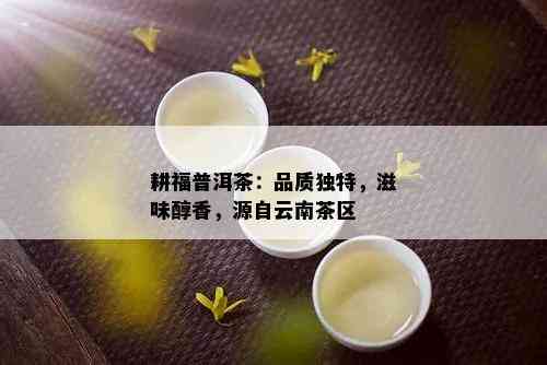 耕福普洱茶：品质独特，滋味醇香，源自云南茶区