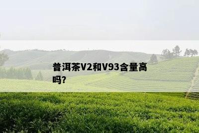 普洱茶V2和V93含量高吗？