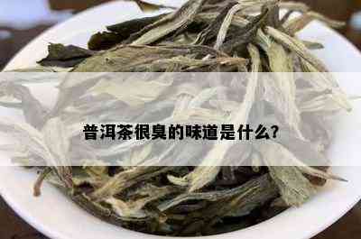 普洱茶很臭的味道是什么？