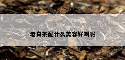 老白茶配什么美容好喝呢