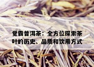 觉霸普洱茶：全方位探索茶叶的历史、品质和饮用方式