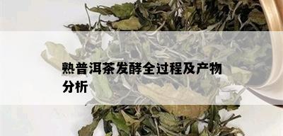 熟普洱茶发酵全过程及产物分析