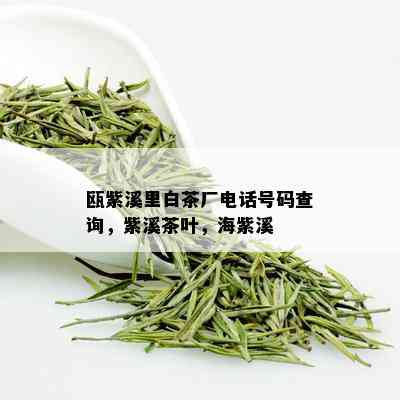 瓯紫溪里白茶厂电话号码查询，紫溪茶叶，海紫溪