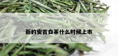 新的安吉白茶什么时候上市