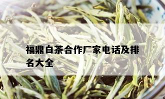 福鼎白茶合作厂家电话及排名大全