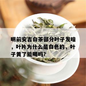 明前安吉白茶部分叶子发暗，叶片为什么是白色的，叶子黄了能喝吗？