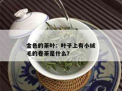 金色的茶叶：叶子上有小绒毛的卷茶是什么？