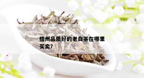 梧州品质好的老白茶在哪里买卖？