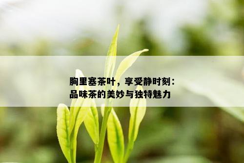 胸里塞茶叶，享受静时刻：品味茶的美妙与独特魅力