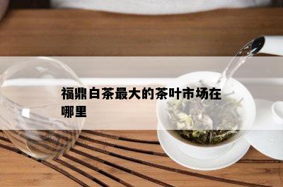 福鼎白茶更大的茶叶市场在哪里