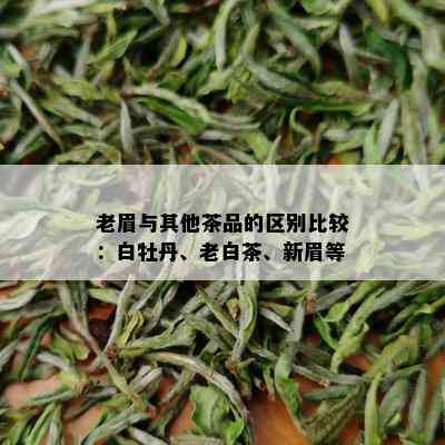 老眉与其他茶品的区别比较：白牡丹、老白茶、新眉等