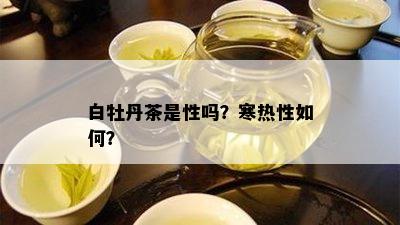 白牡丹茶是性吗？寒热性如何？