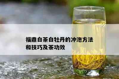 福鼎白茶白牡丹的冲泡方法和技巧及茶功效