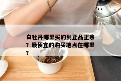 白牡丹哪里买的到正品正宗？更便宜的购买地点在哪里？